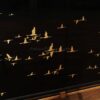Black mirror side cabinet with gold hand-painted migrating geese - Image 9